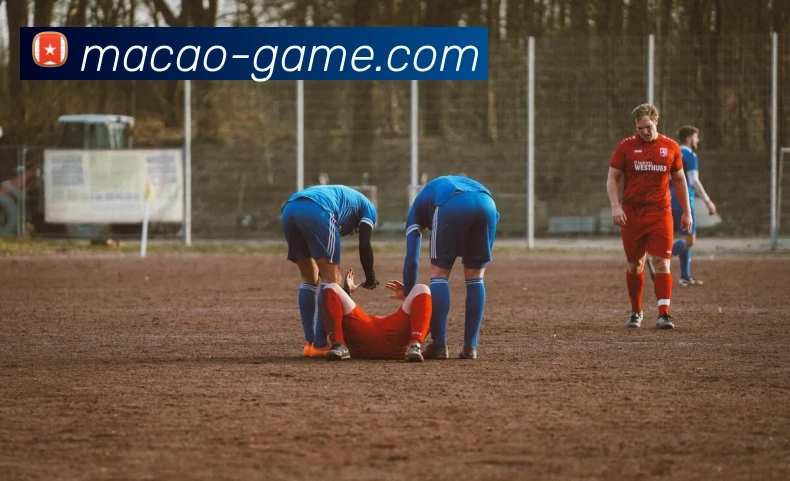 澳门十大游戏公司平台生态图